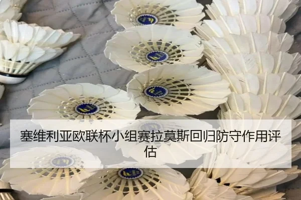 sai-wei-li-ya-ou-lian-bei-xiao-zu-sai-la-mo-si-hui-gui-fang-shou-zuo-yong-ping-gu-2-536.jpg