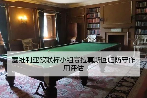 sai-wei-li-ya-ou-lian-bei-xiao-zu-sai-la-mo-si-hui-gui-fang-shou-zuo-yong-ping-gu-3-823.jpg