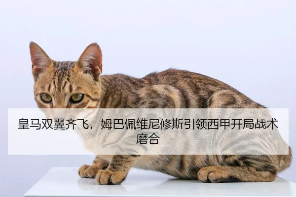 皇马双翼齐飞，姆巴佩维尼修斯引领西甲开局战术磨合