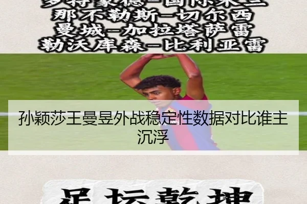 sun-ying-sha-wang-man-yu-wai-zhan-wen-ding-xing-shu-ju-dui-bi-shui-zhu-chen-fu-3-103.jpg