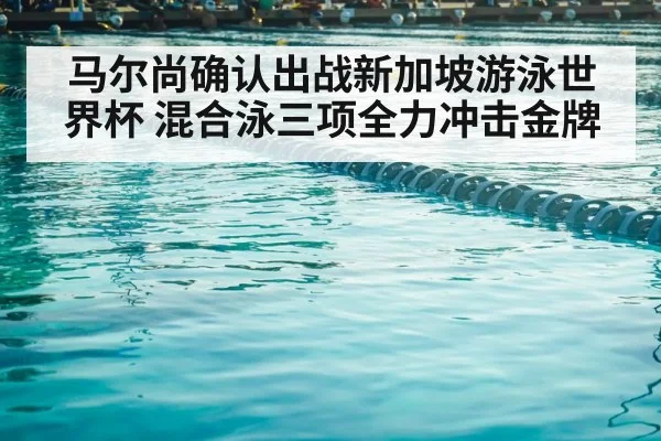 competitive swimming pool lanes