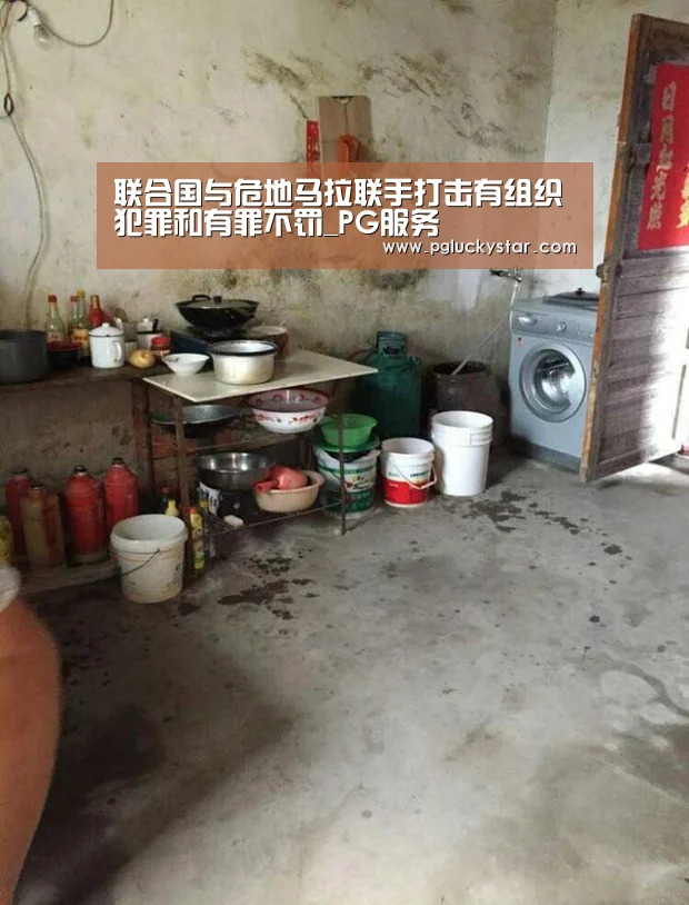 联合国与危地马拉联手打击有组织犯罪和有罪不罚_PG服务(图4) PG直播